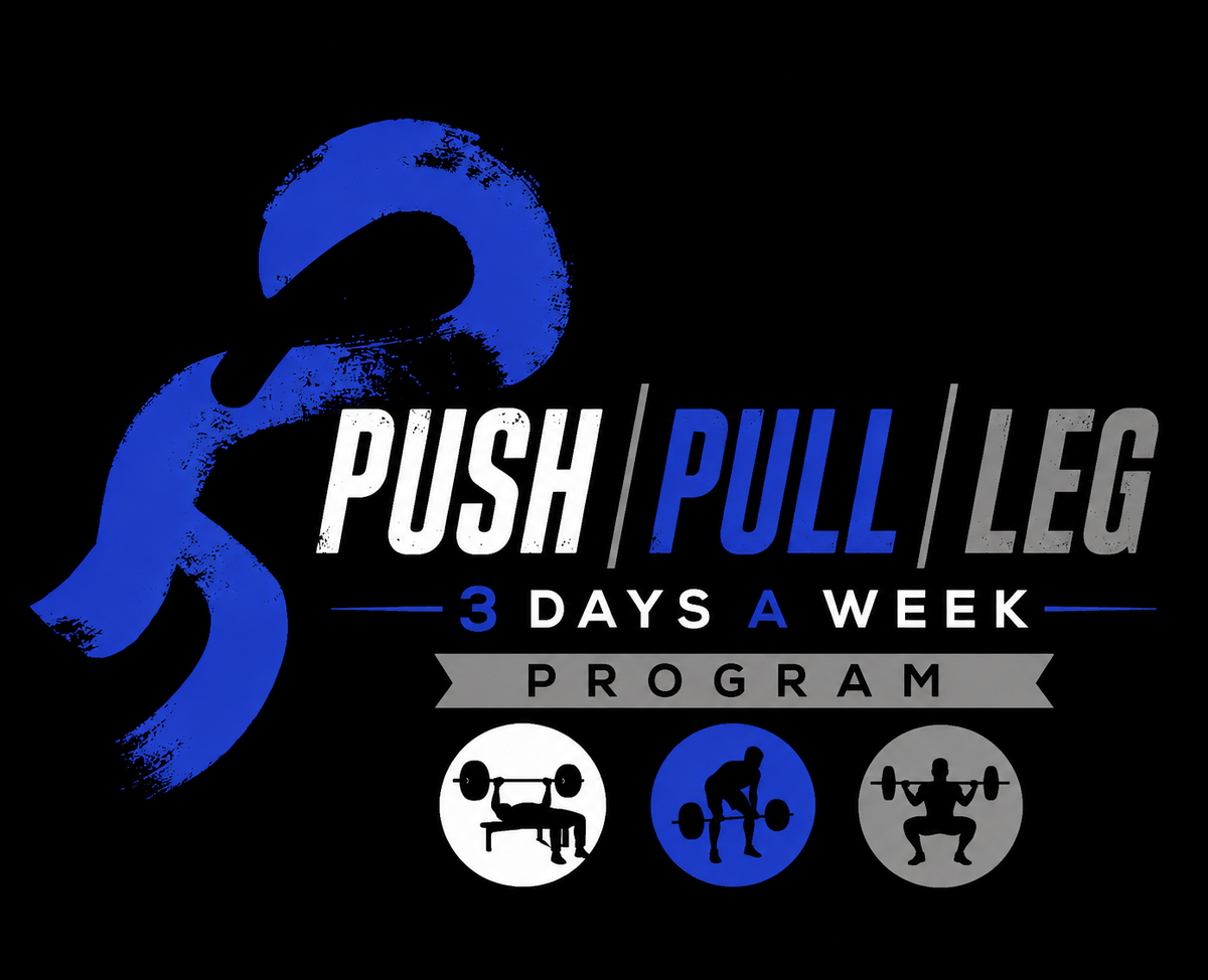 3 Days a week Push Pull Leg Program (PDF)